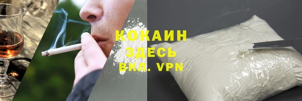 ГАЛЛЮЦИНОГЕННЫЕ ГРИБЫ Сатка