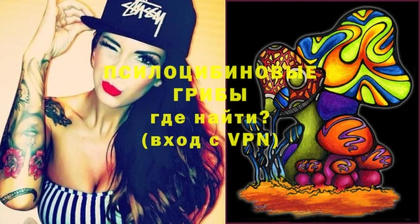 винт Алзамай