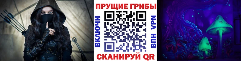 цены   Зея  Псилоцибиновые грибы MAGIC MUSHROOMS 